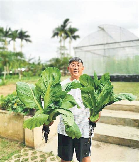 東昇水起 住家种菜